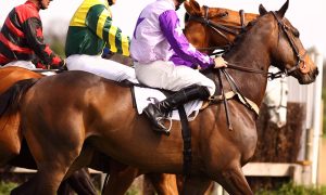 Ladies Day