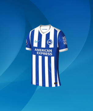 Brighton and hove albion shirt 18082025